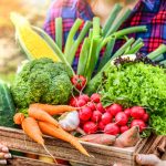 CO-GROW Food Programs