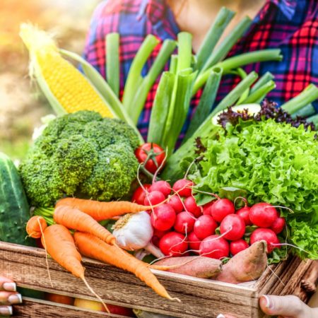 CO-GROW Food Programs