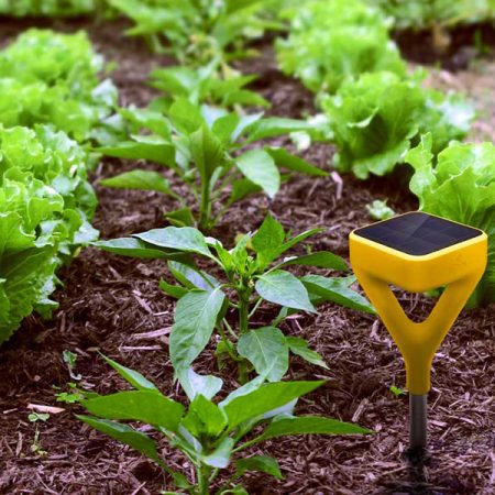 Modern Gardening Courses