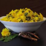 5 – Fresh Dandelion Picking Experience